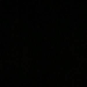 Meet your Posher, Ingrid